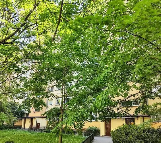 Apartament No. 8 / Nr 8 By Cooee *